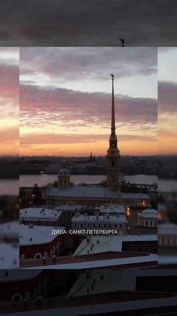 Санкт-Петербург - не место прописки, это состояние душ? смотреть онлайн