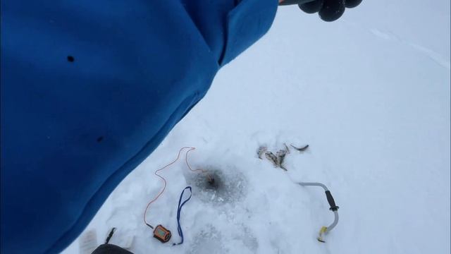 РЫБАЛКА В КАРЕЛИИ! ОЗЕРО ЛАДМОЗЕРО!!! РЫБАЛКА С НОЧЕВКО смотреть онлайн