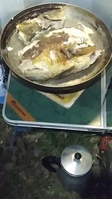 ВКУСНЯТИНА #рыбалка #рек #fishing #РЕЧКА #2023 #2024