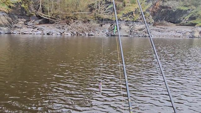 ✅РЫБАЛКА НА ХИЩНИКА В ТАИНСТВЕННОМ ОЗЕРЕ 2025 смотреть онлайн