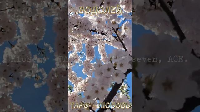 ♒️ ВОДОЛЕЙ ❤️ ТАРО - ЛЮБОВЬ 🥕 ВЕСНА  #прогноз #любовь