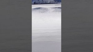 Прикормочный кораблик S80 с GPS.