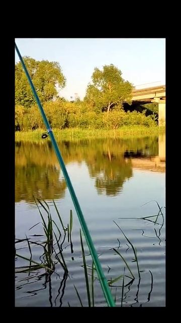 Когда взял жену на рыбалку смотреть онлайн