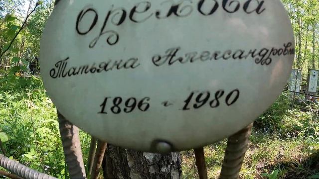 На могиле выросла береза. Орехова Татьяна Александров смотреть онлайн