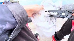 Ловля кефали в Имеретинском порту. Рыбалка в Сочи #fishing