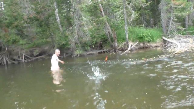 Рыбалка 2023 Царство Тайменей Сухопит Хариуса ЛОВИМ САЧ