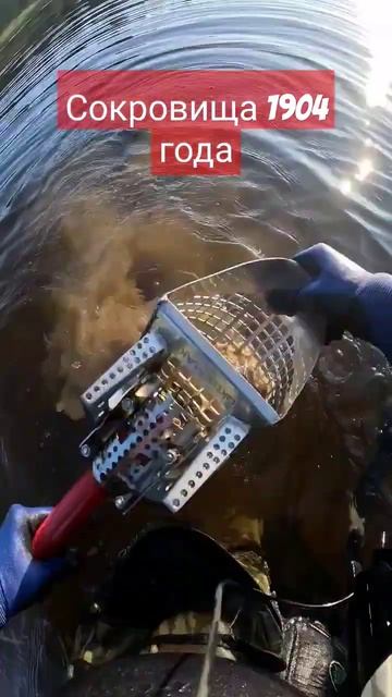 серебряные монеты из реки