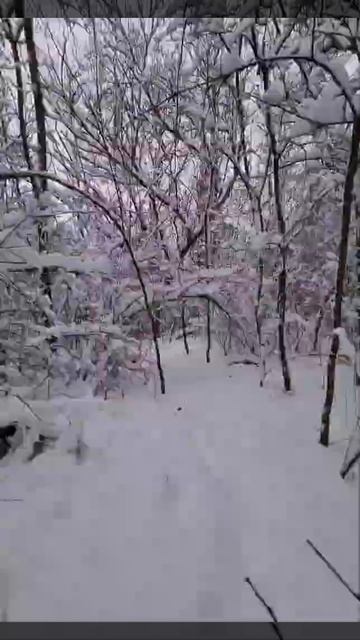 Сказочная погода в Ростов-на-Дону смотреть онлайн