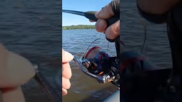 Судак на отводной поводок в отвес | смотреть онлайн