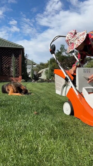 Коли 🎶тренд прийшов на газон😅