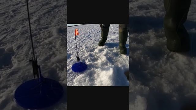 Зимняя рыбалка на жерлицы, неплохая щука. смотреть онлайн