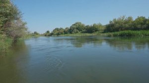 Рыбалка, голавль на кузнечика, река Мокша, ходовая рыб?