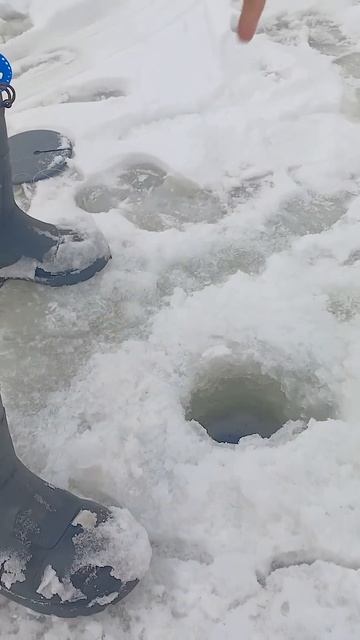 1 января 2025 г. смотреть онлайн