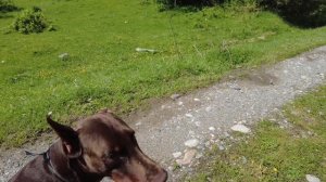 Люшику 3 года. Жизнь в деревне после переезда.