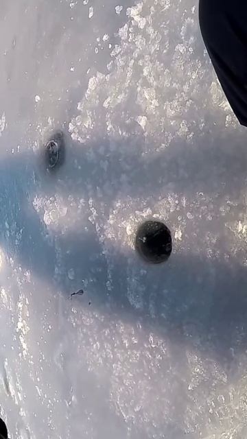 На Лещя Зимняя Рыбалка 2022# ЗимняяРыбалка #shorts #shortsvideo#Л? смотреть онлайн