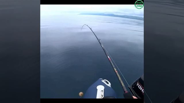 Вертикальный джиг. Катушка для вертикального джига Blac