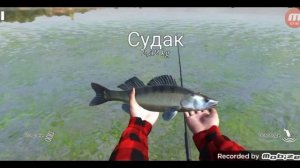 как заработать много монет в Ultimate fishing simulator
