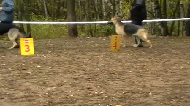 MOV029.MOD Питомники