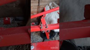 Обзор Польского плуга  WIRAX огородник 3 корпуса, купил н?