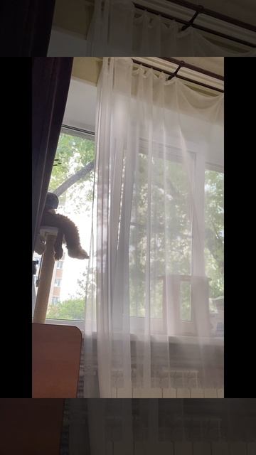 Как мы ждем☺️❤️  #Любовь  #семья  #дети  #мы  #уют  #топ  #2025  #скетч  #юмор  #будни  #мама