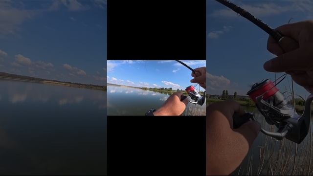 судак с берега 10+??? сражается до "талого"... 20 минут выва? смотреть онлайн