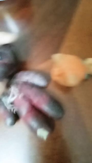 ням......... - ах, ты паразит! 😡