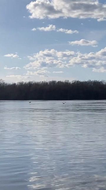 Река Ока весна 2024 смотреть онлайн