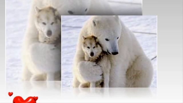 И зимой живёт любовь!