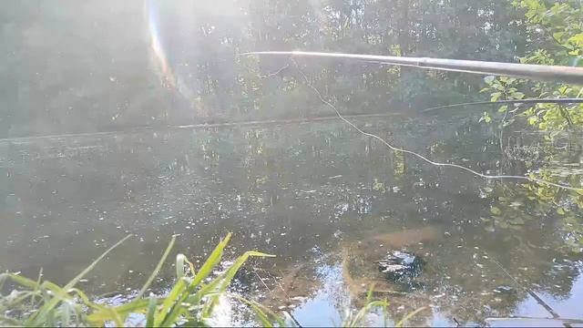 На Реальной Рыбалке смотреть онлайн