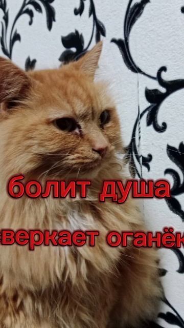 За тебя одам все что есть что бы вернуть время назад и ? смотреть онлайн