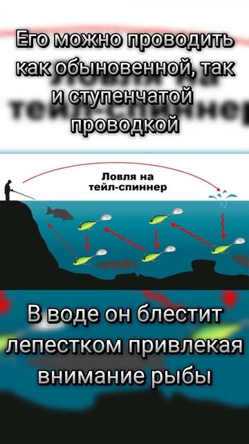 Что такое тейл-спиннер. #shorts #short #fishingequipment #fishing #рыбалк?