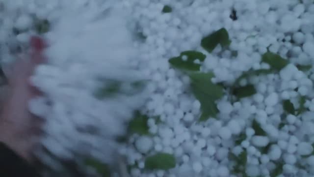 Спасала как могла. Обрушился крупный град на Ставрополье От сада и огорода почти ничего не осталось смотреть онлайн