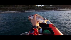 Рыбалка в Сочи с каяка, ласкирь, луфарь, мармир, рыбалк?