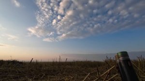 Охота на гуся в Казахстане 2024 Открытие   4K