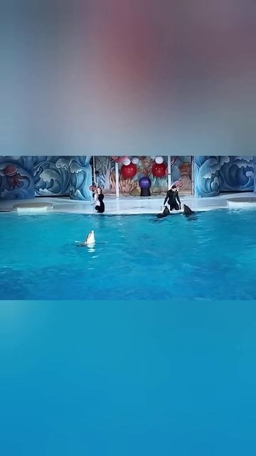 Бомбически! Круто! Восторг! ❤️💯👌 #новыйгод #зима #си? смотреть онлайн