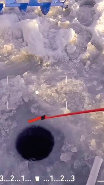 #глухозимье #рыбалка #окунь #клюет#fishing #fish #рыба #марапе смотреть онлайн