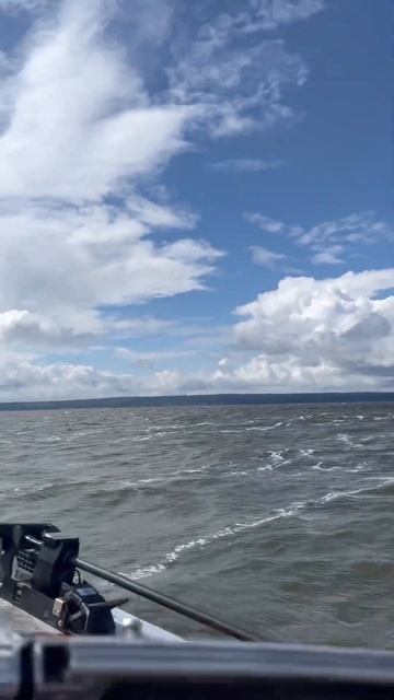 Всегда бы так🤣☝️#рыбалка #катер #юмор #приколы #fishing #?