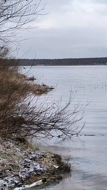 Озеро: большое Симагинское смотреть онлайн