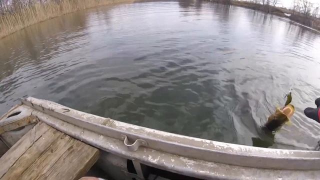 РЫБАЛКА ТРОЛЛИНГОМ. ПРОТЕСТИРОВАЛ НОВЫЙ СПИННИНГ И РА смотреть онлайн