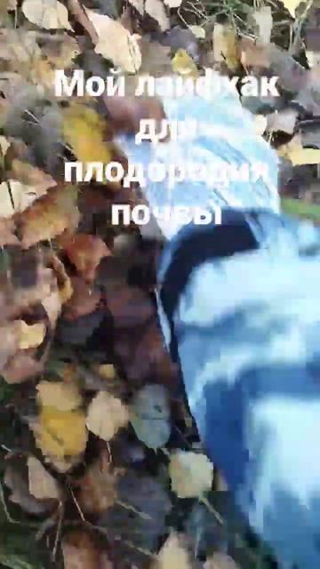 Секрет хорошего урожая: мульчирую все что есть на огор смотреть онлайн