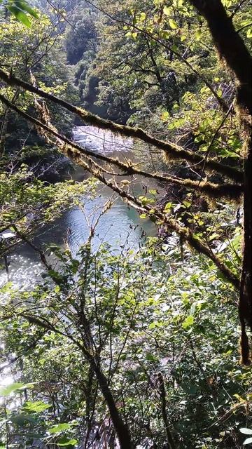 Река Сочи, вид с лестницы спуска к Ореховскому водопад смотреть онлайн