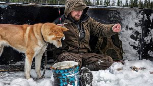 РЫБАЛКА ХИЩНИКА НА ЖЕРЛИЦЫ. ТАЕЖНАЯ ИЗБА СТАЛА УЮТНЕЕ ПОСЛЕ ЭТОГО.