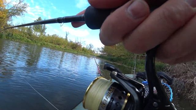 Трофей сезону взято на O.S.P. Varuna 28.09.24