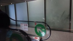 Перелет Бангкок-Пекин-Москва * пересадка в Пекине 5 час