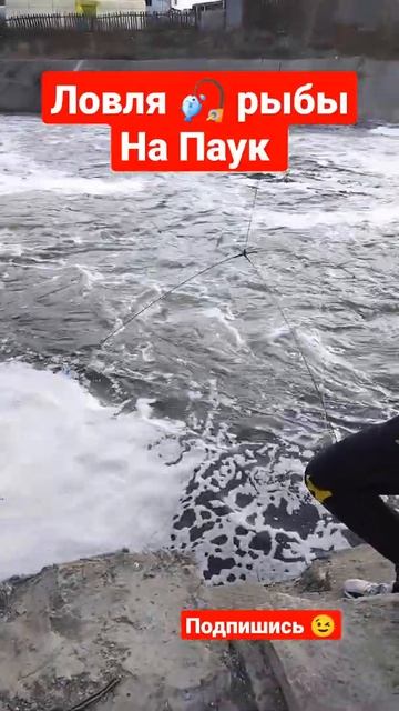 Рыбалка 2022 весной на паук смотреть онлайн