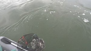 Рыбалка селедки с лодки на Дону