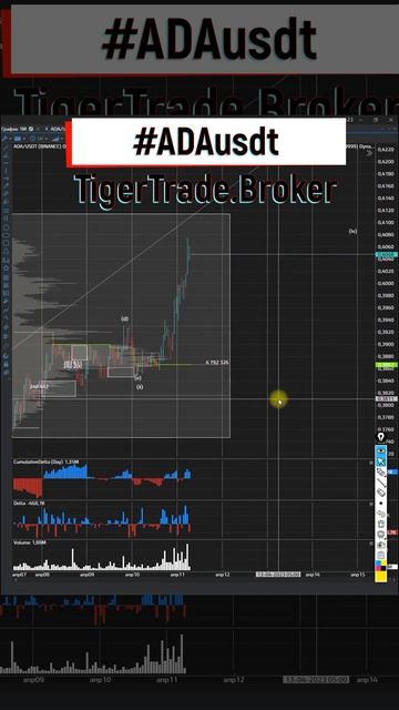 ADA Кардано продолжит свой рост, куплю с коррекции 11 04 202 смотреть онлайн