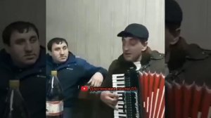 даргинская песня  под гармошку🔥🔥🔥