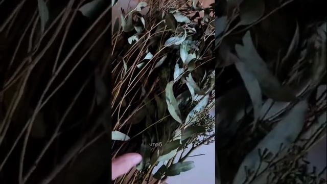 Эвкалиптовая баня 🔥 пробовали? #баня #стальмастер