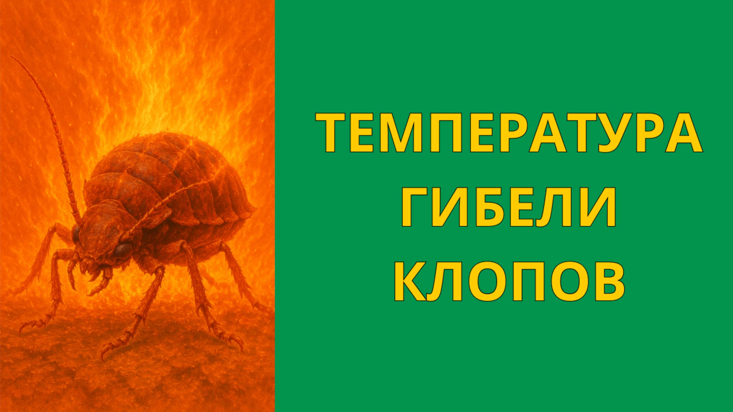 СанЭпидемЦентр